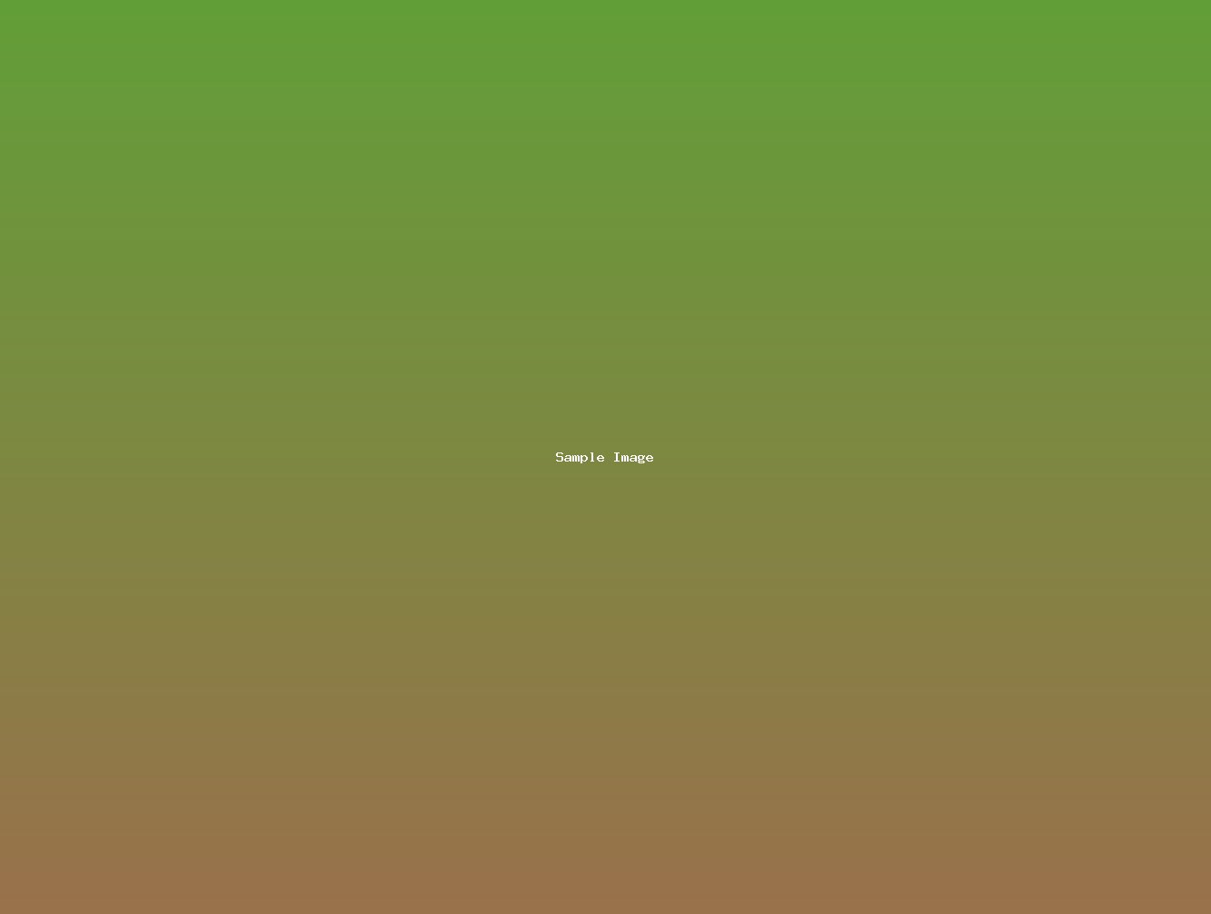 sample-image-399.jpg